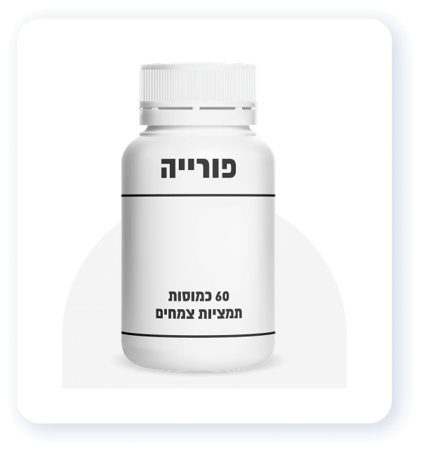 פורייה