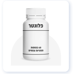 פלונטר
