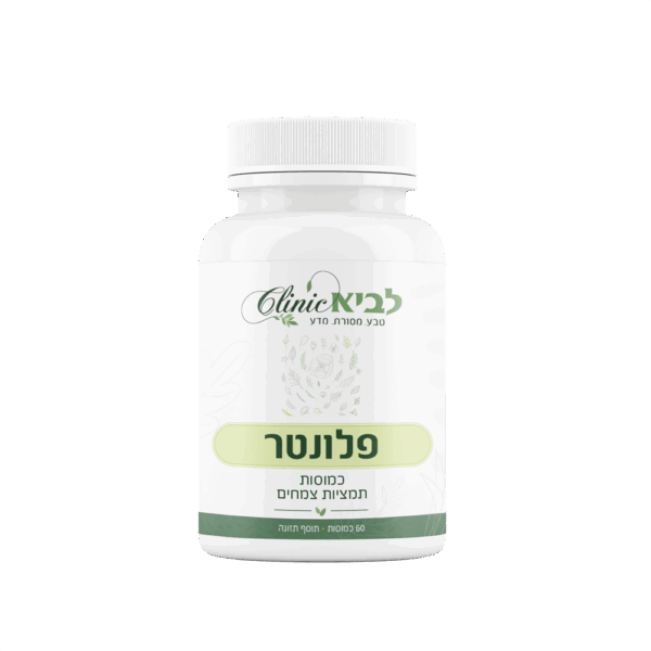 פלונטר